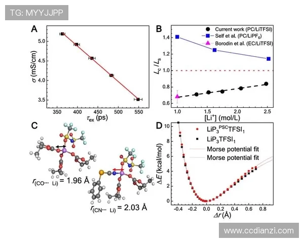 球迷文化研究报告：忠诚度形成机制与影响因素分析